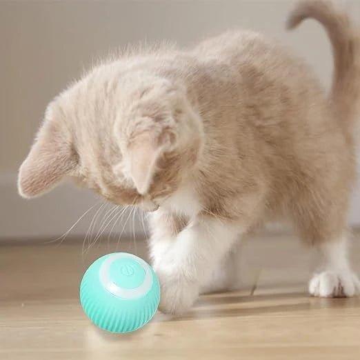Bola de brinquedo automática para gatos - Top-shoop