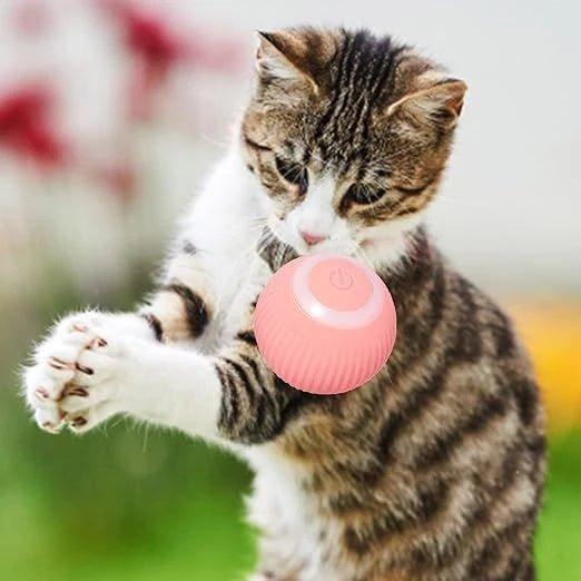 Bola de brinquedo automática para gatos - Top-shoop